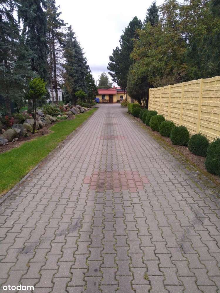 Wynajmę DUŻY budynek/magazyn BOLSZEWO ! - Pełny obrazek: 4/18