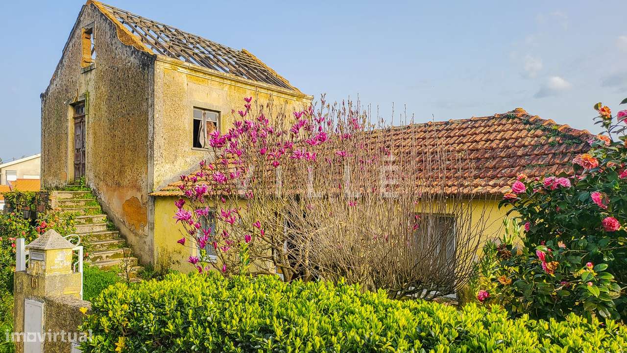 Moradia T3 Venda em Valongo do Vouga,Águeda - Grande imagem: 2/29