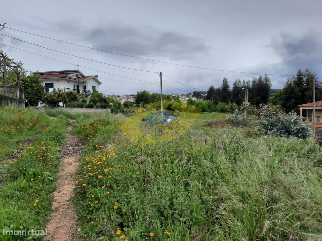 Terreno Florestal em Felgueiras com 6000m2 - Grande imagem: 4/6