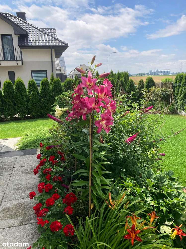 Piękny, nietuzinkowy, 5 pokoi, altana, garaż, pompa ciepła,super ogród-13