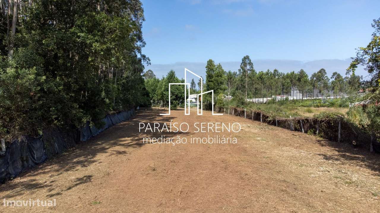 Terreno para Arrendar - Grande imagem: 4/7