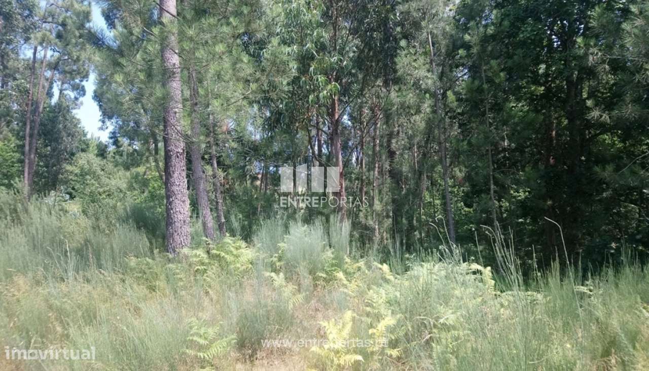 Venda Terreno, próximo rio, Alpendurada e Matos, Marco de Canaveses - Grande imagem: 2/6
