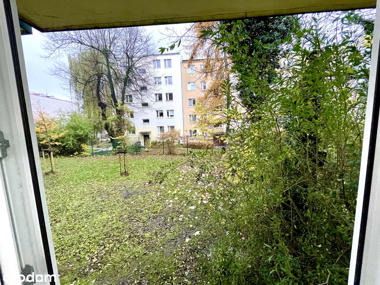 PARTER Z WIDOKIEM NA ZIELEŃ 2pokoje po remoncie–gotowe do wprowadzenia-8