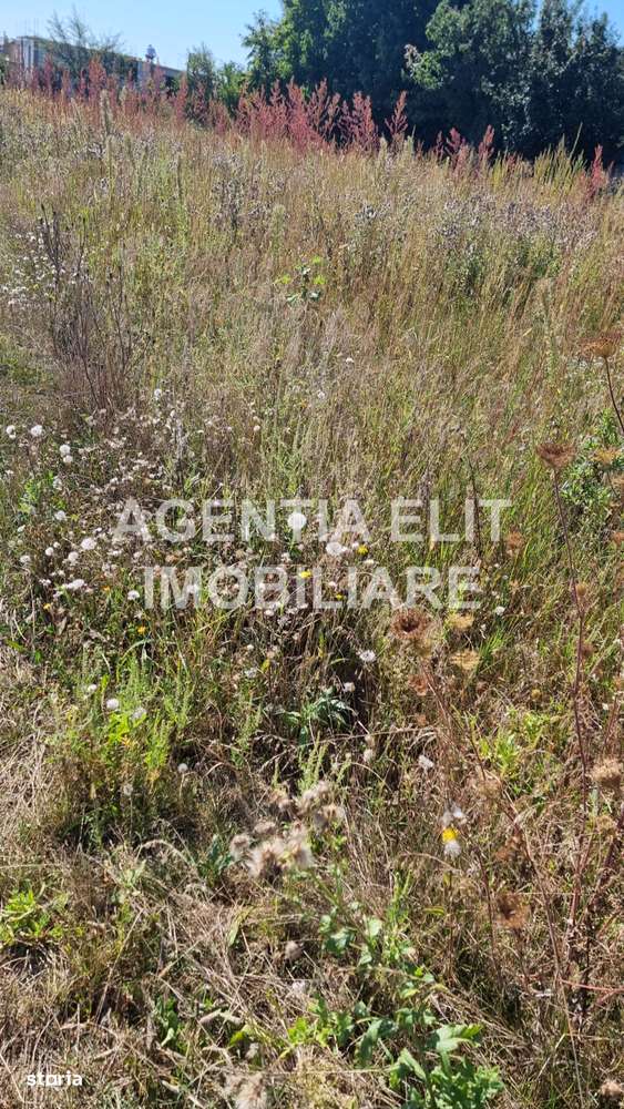 teren, zona Tulbureni, intravilan - Imagine principală: 4/6