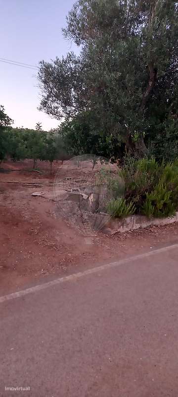 Terreno  para venda - Grande imagem: 4/19
