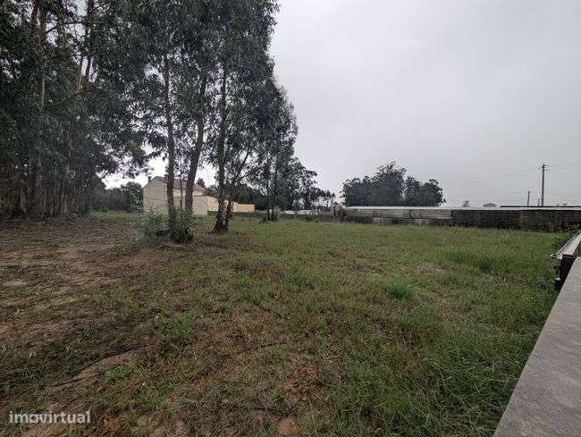 Terreno, 1 800 m², Monte-8