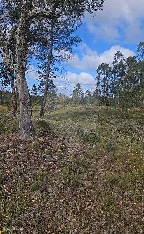 Terreno  para venda-5