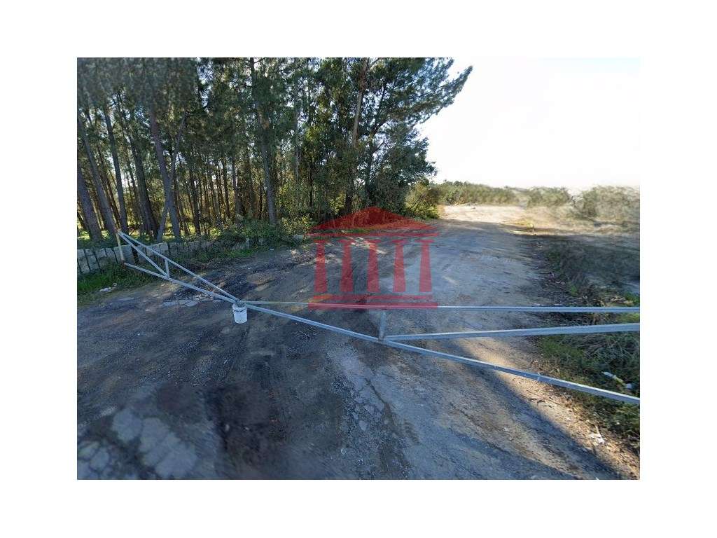 TERRENO INDUSTRIAL - Grande imagem: 5/6