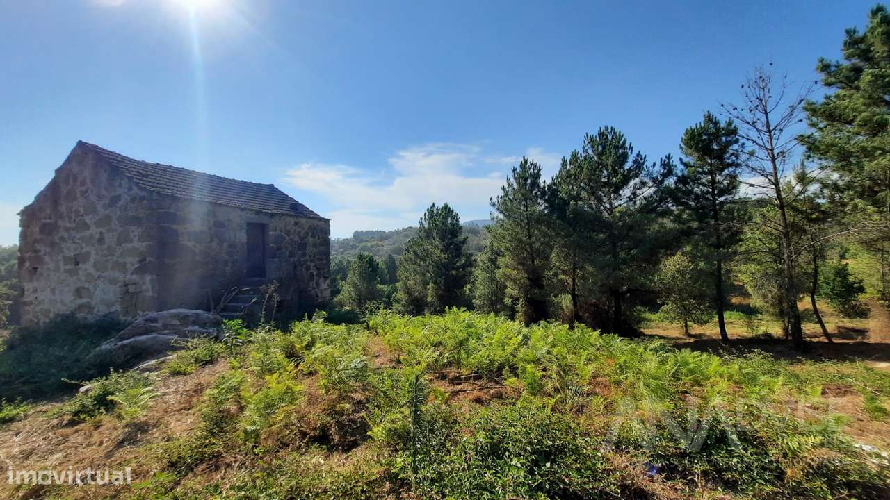 Quintinha  Venda em Abrunhosa-a-Velha,Mangualde - Grande imagem: 5/26