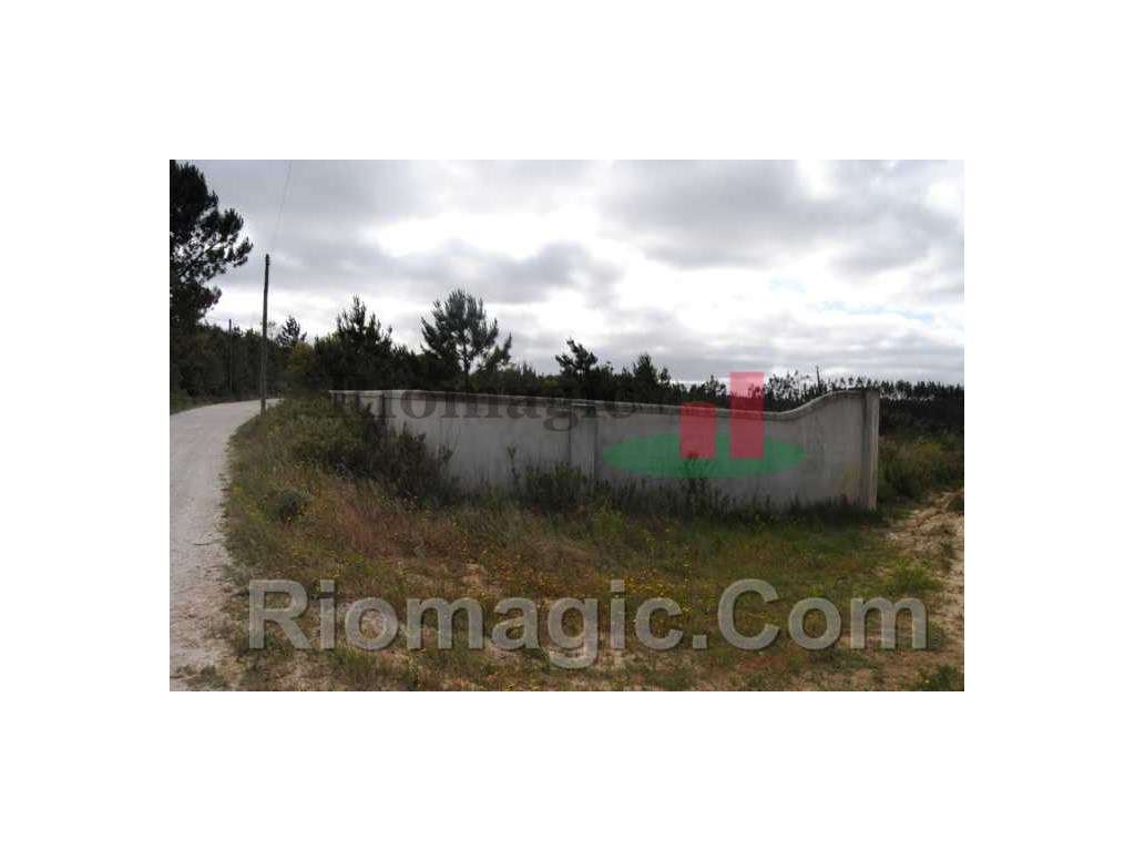 Terreno - Rio Maior***RIOMAGIC*** - Grande imagem: 4/15