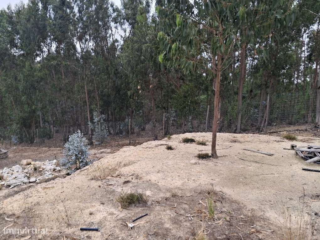 Terreno Industrial com 4120m2 junto à  zona industrial do Paúl - Grande imagem: 4/26