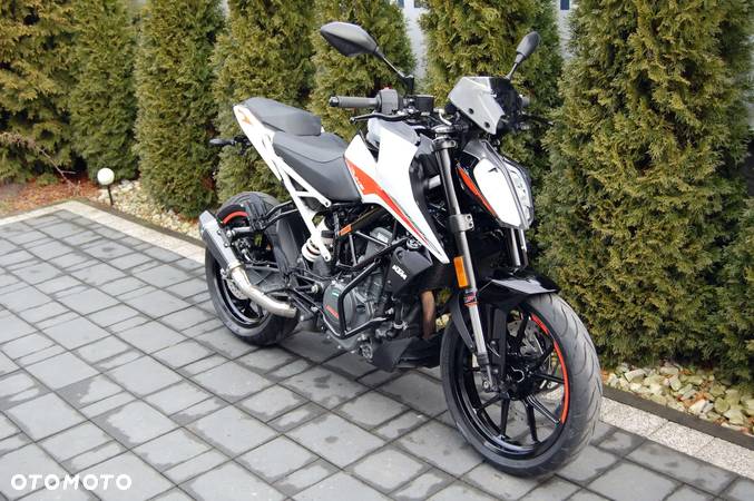 KTM Duke - 1