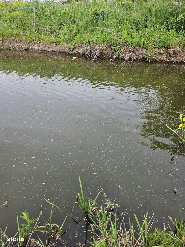 Teren intravilan Snagov-Ghermanesti DJ101b-4