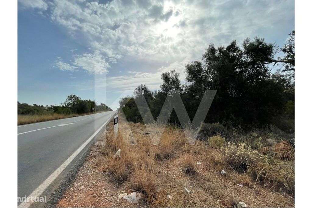 Terreno Rústico Silves - Grande imagem: 3/15