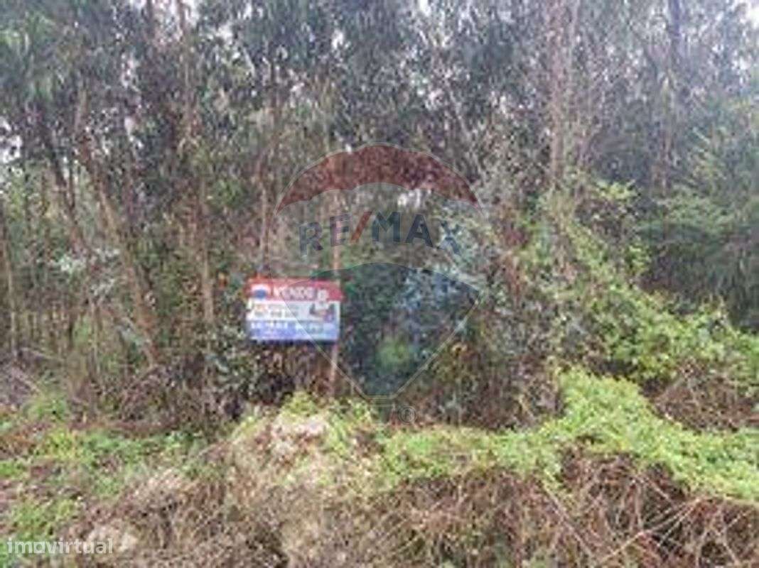 Terreno  para venda - Grande imagem: 2/4