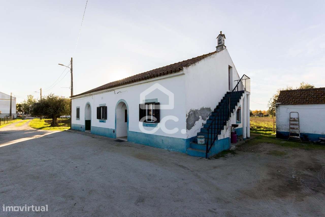 Quinta de 11.625 m² c/ Moradia T3 e anexos | Canaviais, Évora - Grande imagem: 5/43