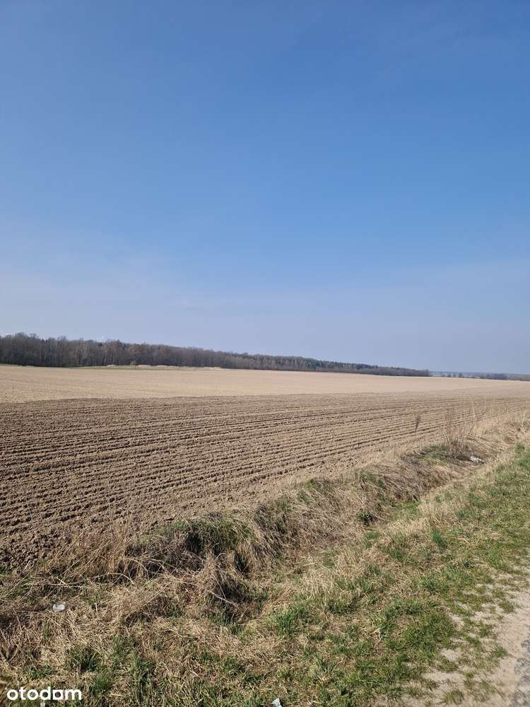 Rola pod inwestycję, Nienawiszcz ,blisko jezioro-0