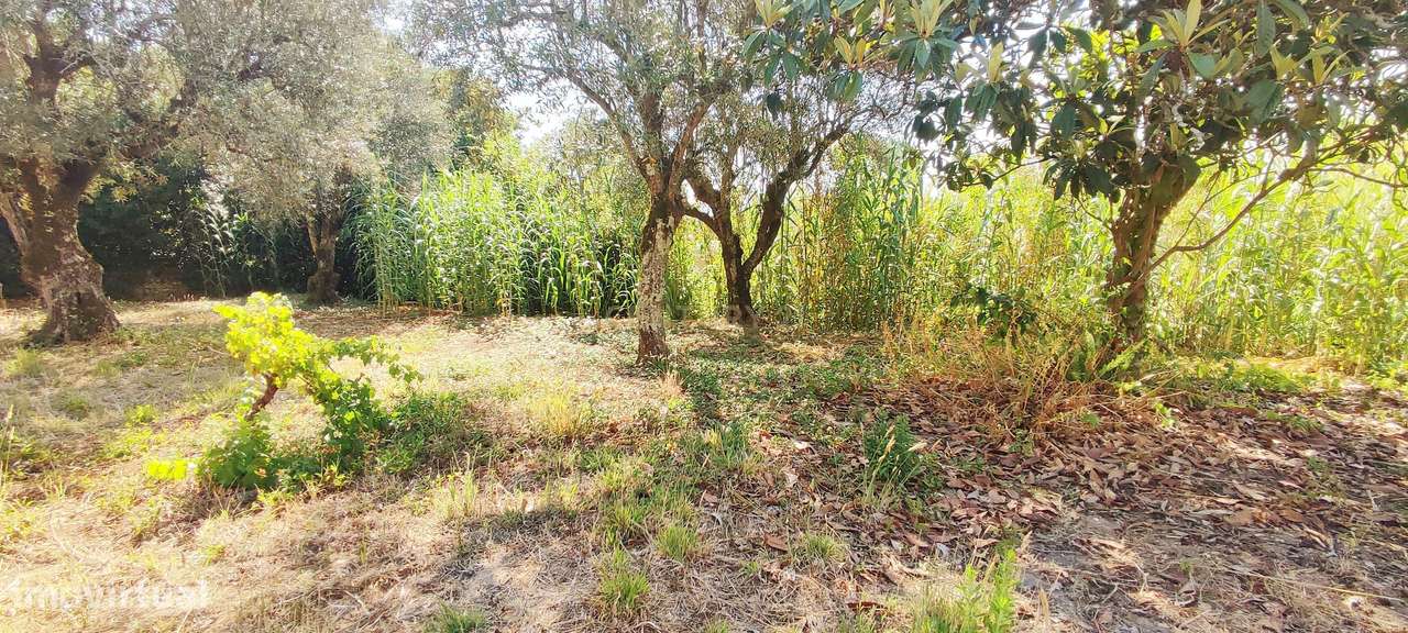 Terreno para construção de moradia em Geria, às portas da cidade de Co - Grande imagem: 5/7