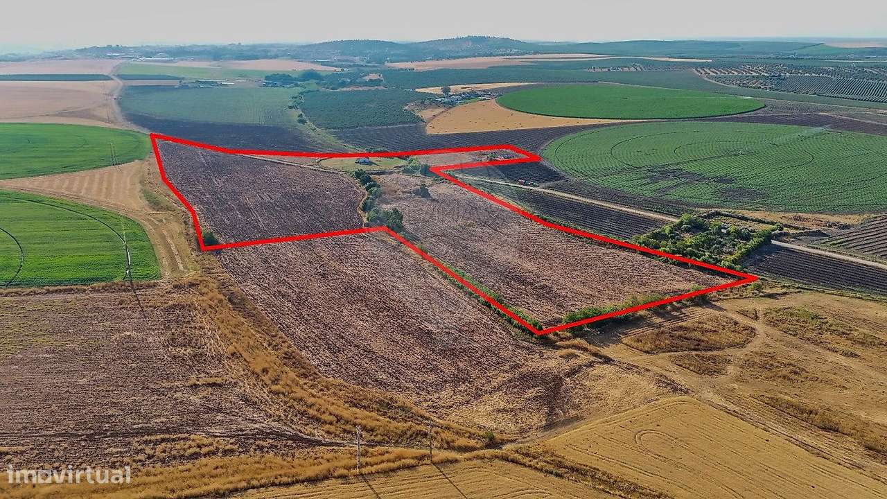 Quinta  para venda - Grande imagem: 5/17