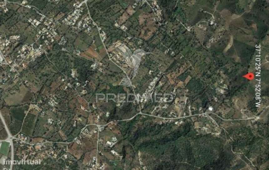 Terreno Rustico no Bico Alto - Grande imagem: 3/11