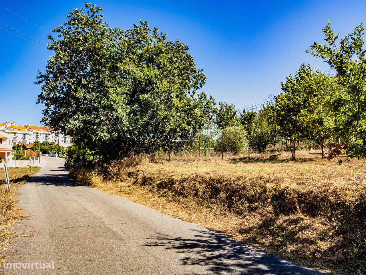 Terreno para construção de moradia isolada, Oiã, Oliveira do Bairro - Grande imagem: 4/11