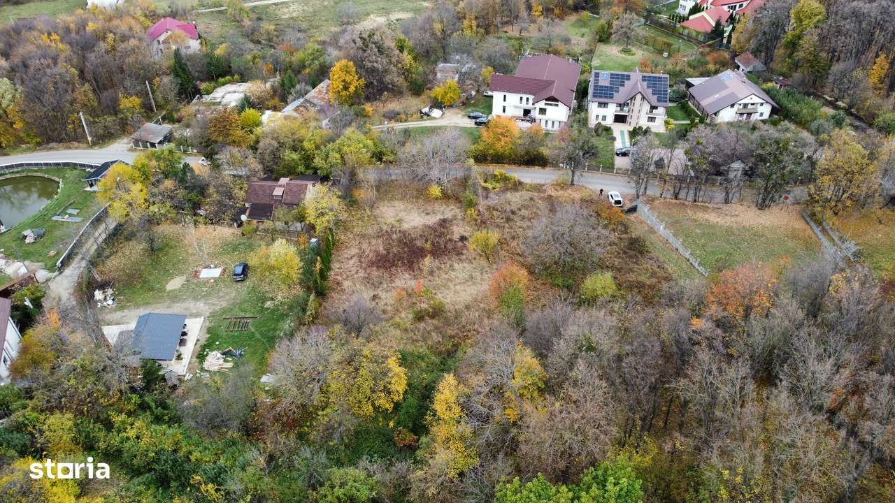 Teren intavilan iasi Bucium 3400 mp mixt padure/liber - Imagine principală: 5/7