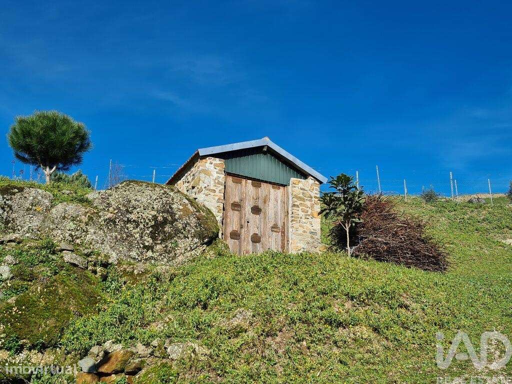 Quinta T2 em Lagos Da Beira E Lajeosa de 32320,00 m2 - Grande imagem: 5/30