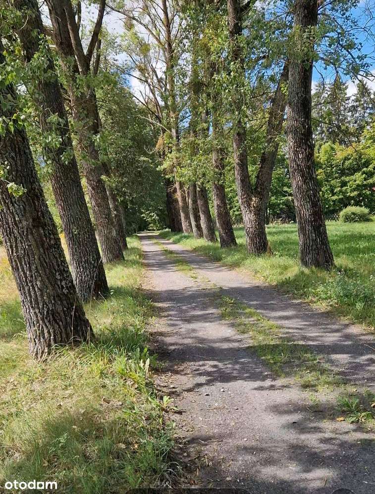 Działka budowlana Słójka Dziewiczy Ług - Pełny obrazek: 5/10