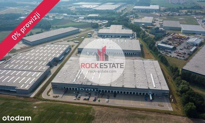 Magazyn wynajem Koninko 1708 m2 - 0% prowizji - Pełny obrazek: 5/5
