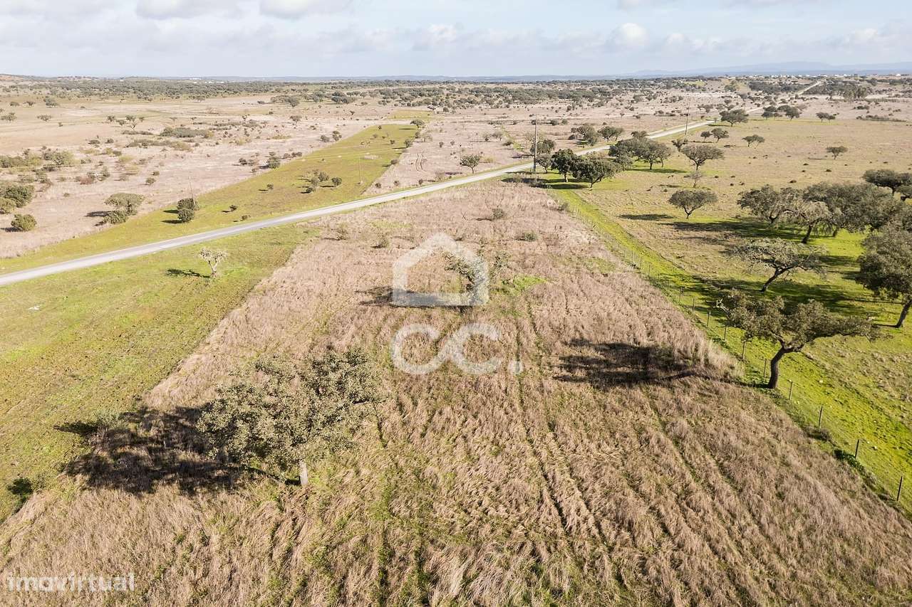 Terreno de 5,4 ha c/ Viabilidade de Construção | Capelins, Alandroal-49