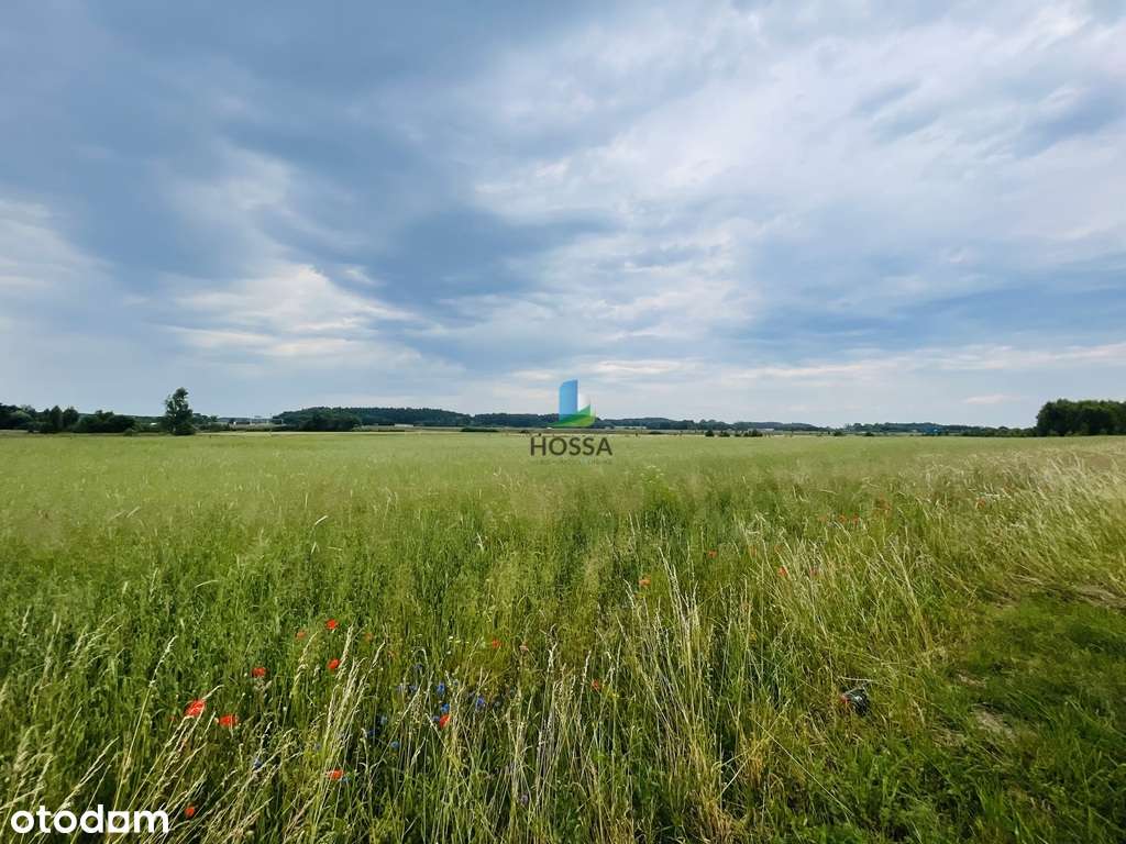 Działki budowlane, Szerokopaś - Pełny obrazek: 5/17