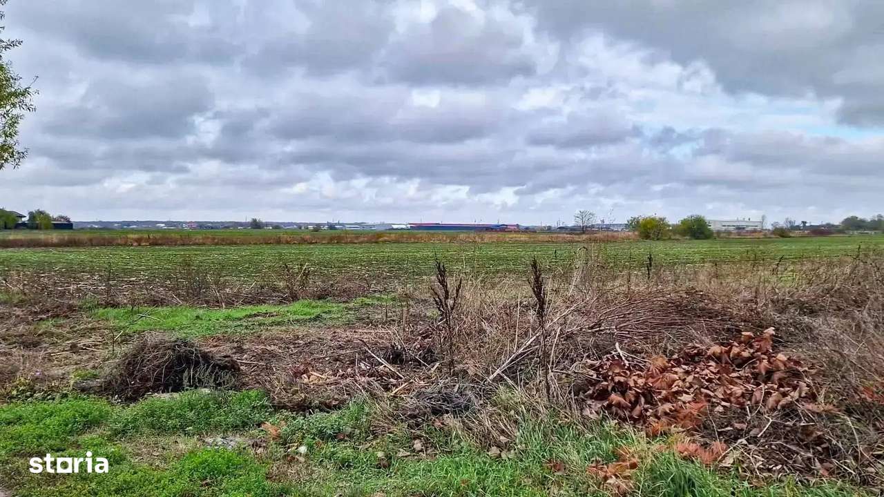 Teren intravilan, 1320 mp, la asfalt in Balotesti-4