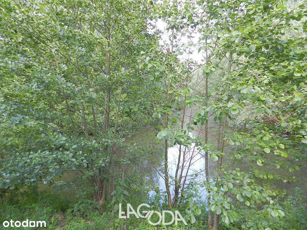 Hala 1152 m2, wiata 1260 m2 plus Dom - Deszczno-19