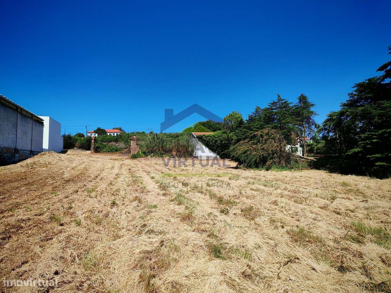 Terreno para Construção Delgada - Bombarral-10
