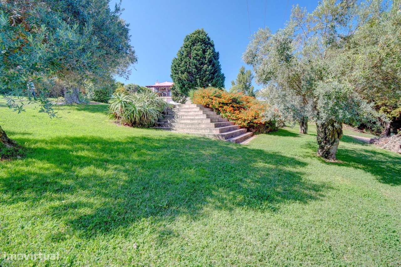 Quinta com Casa Tradicional com Piscina e Terreno de 8.800 m² - Grande imagem: 4/36