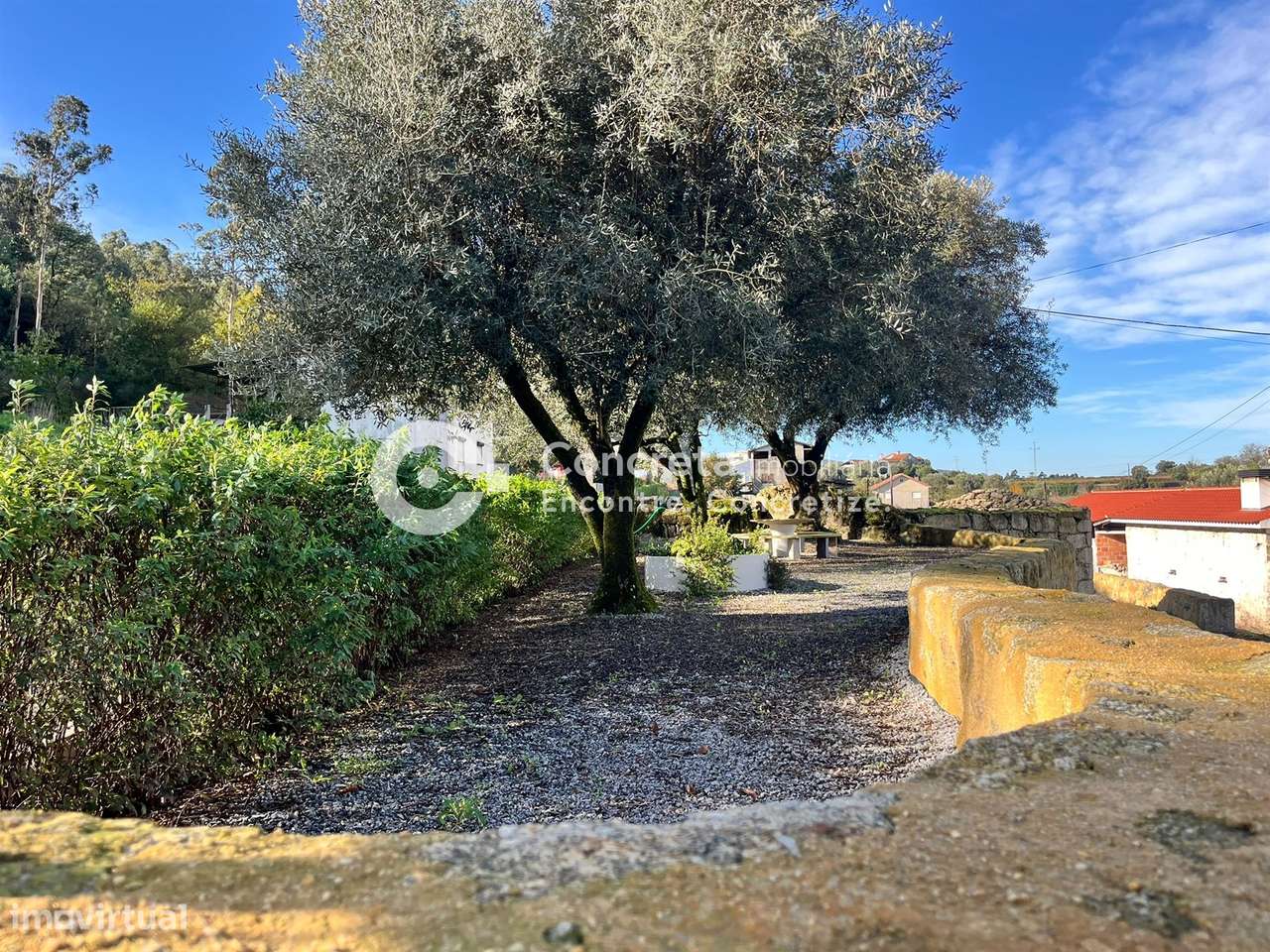 Ruína em pedra com terreno em Cossourado, Barcelos-5
