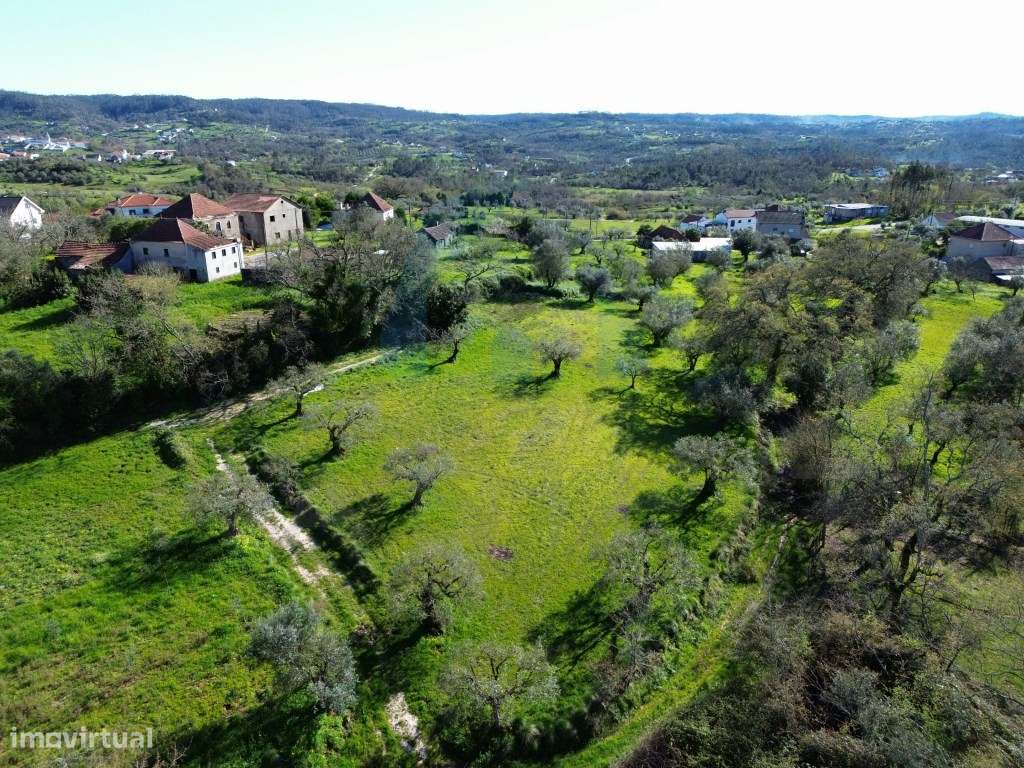 Terreno Campestre com Viabilidade de Construção - Pombal-0