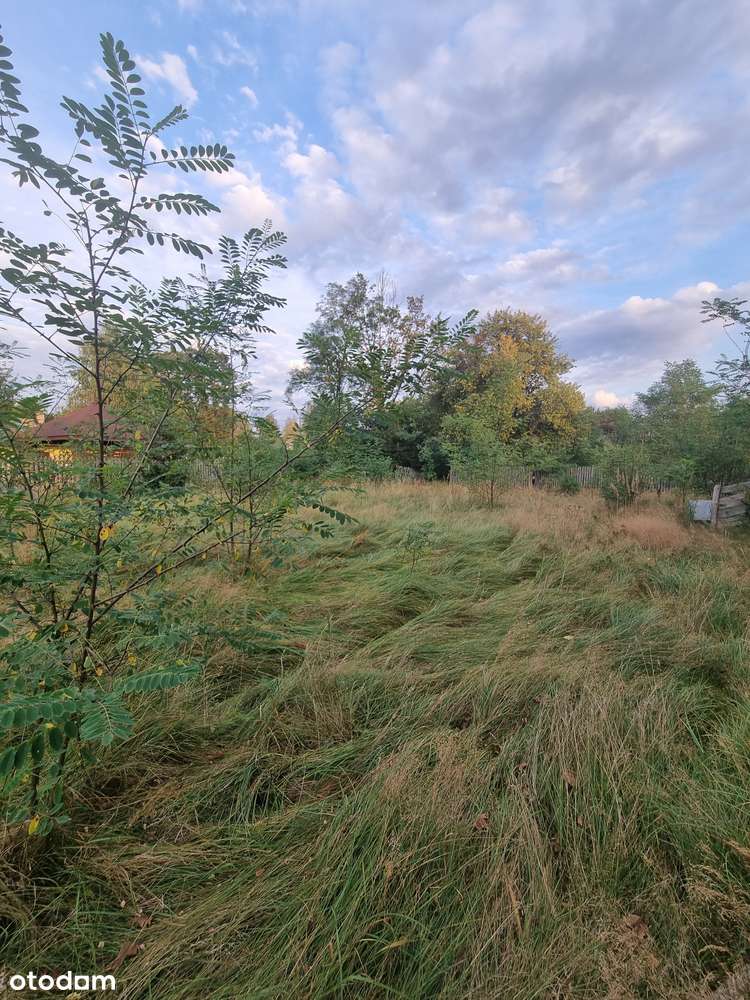 Dom 50 m2 na działce 6000 m2 Gatniki k/ Sielpi-16