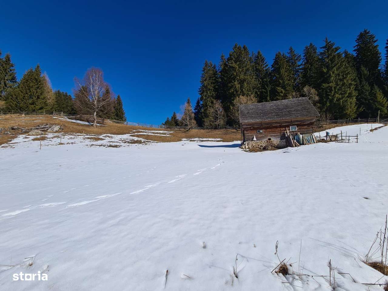Teren situat langa padure de Vanzare - Imagine principală: 4/6