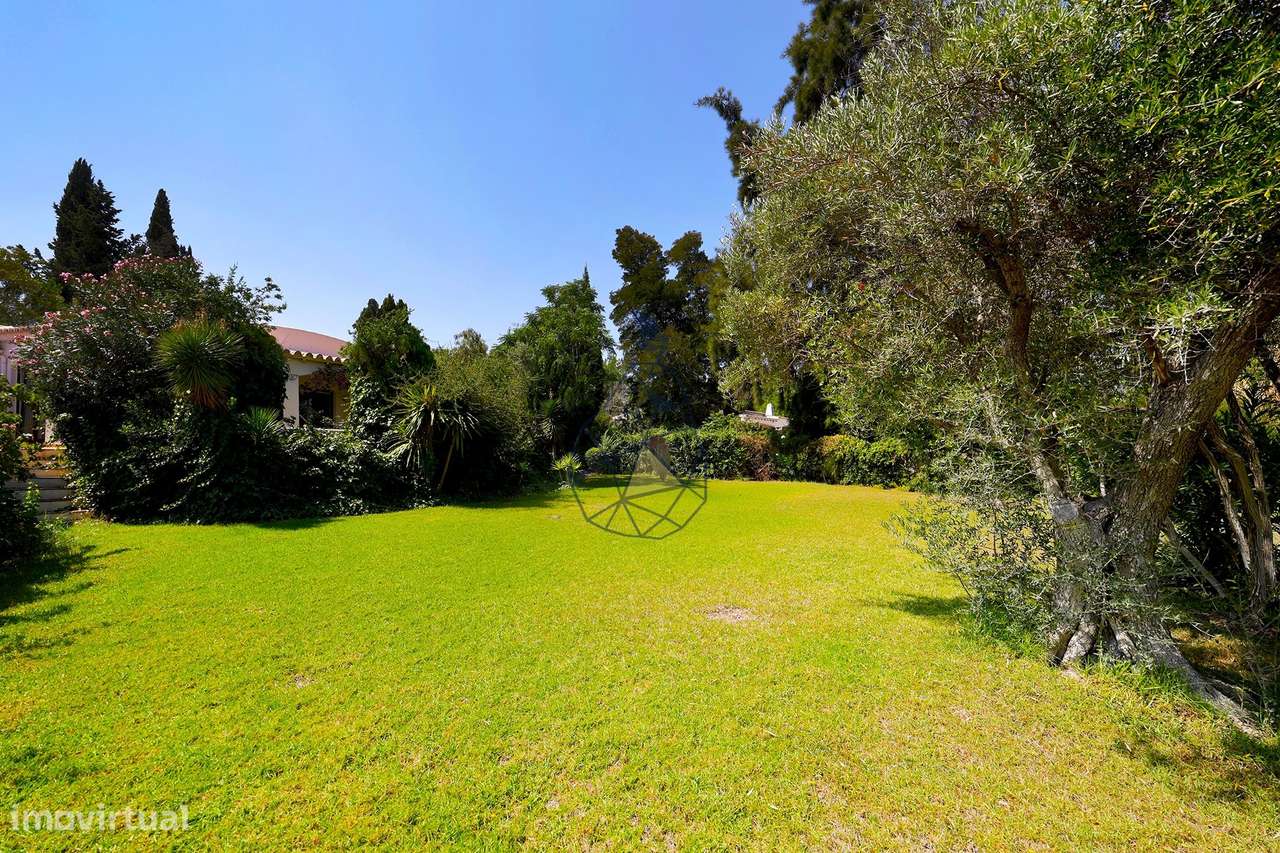 Moradia T3 com Piscina e Jardim + Anexo Urbanização Serra e Mar - Port-56