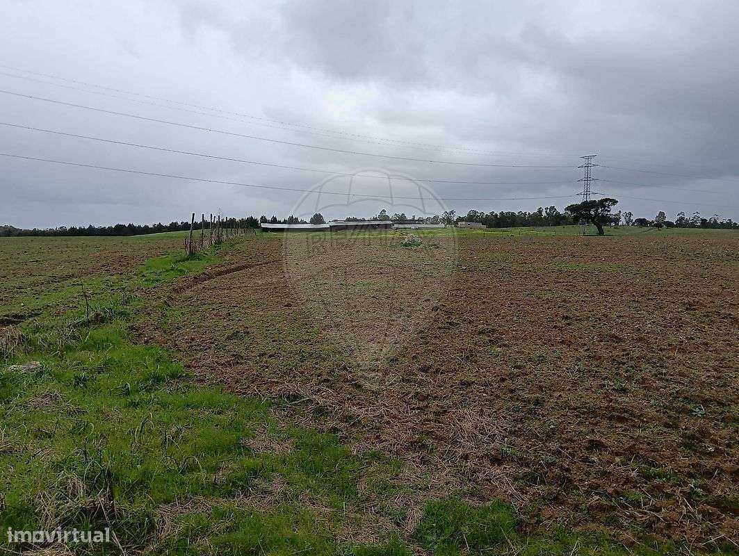 Terreno  para venda - Grande imagem: 4/8