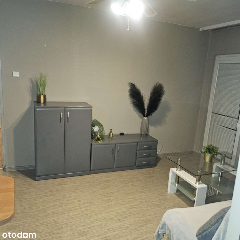 2 pokoje w super cenie i lokalizacji - Pełny obrazek: 4/15