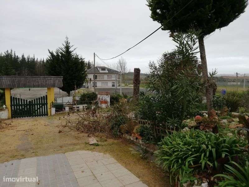 QUINTINHA COM 4.380m2. A 50 minutos de Lisboa. Casa com cerca de 300m2 - Grande imagem: 5/5