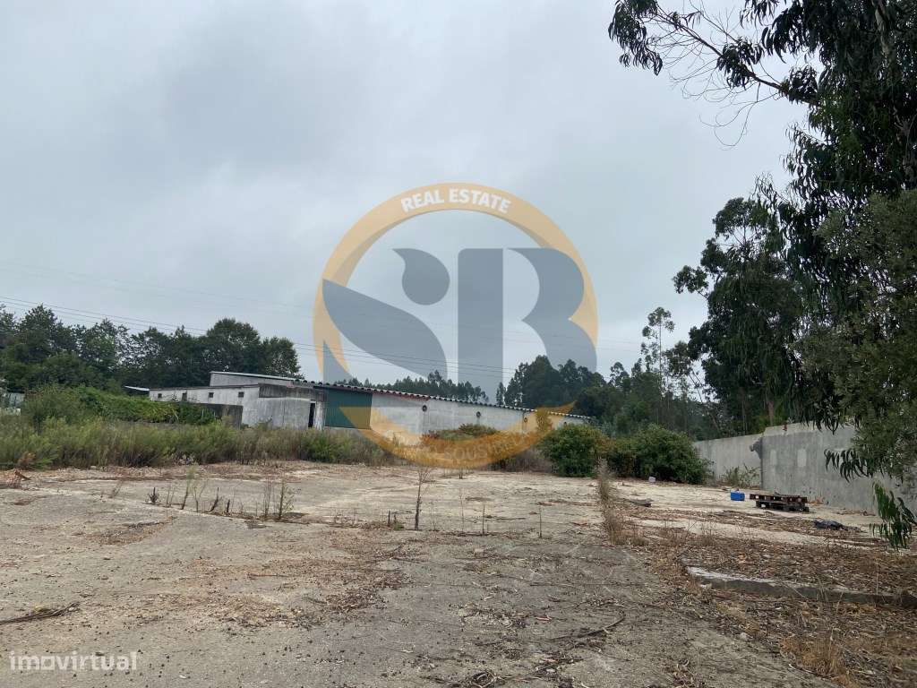 Armazém Oliveira de Azeméis - Grande imagem: 4/4