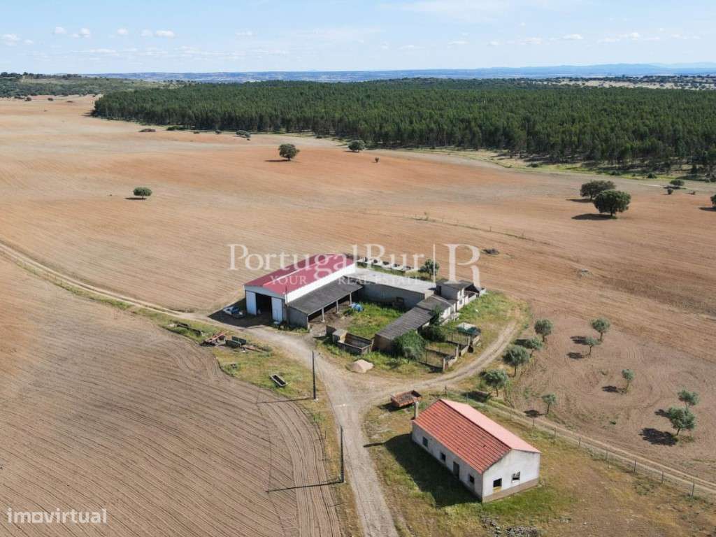 Herdade com 72 ha com possibilidade para regadio na região de Caste... - Grande imagem: 5/46