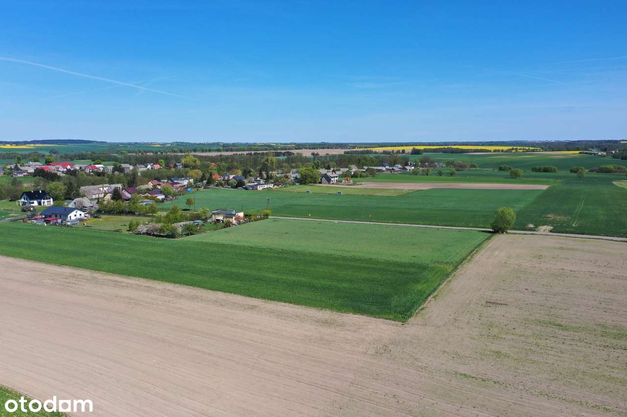 Atrakcyjna Działka 5800m2, warunki zabudowy - Mała Cerkwica - Pełny obrazek: 5/9