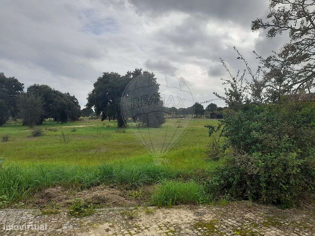 Terreno  para venda - Grande imagem: 4/14