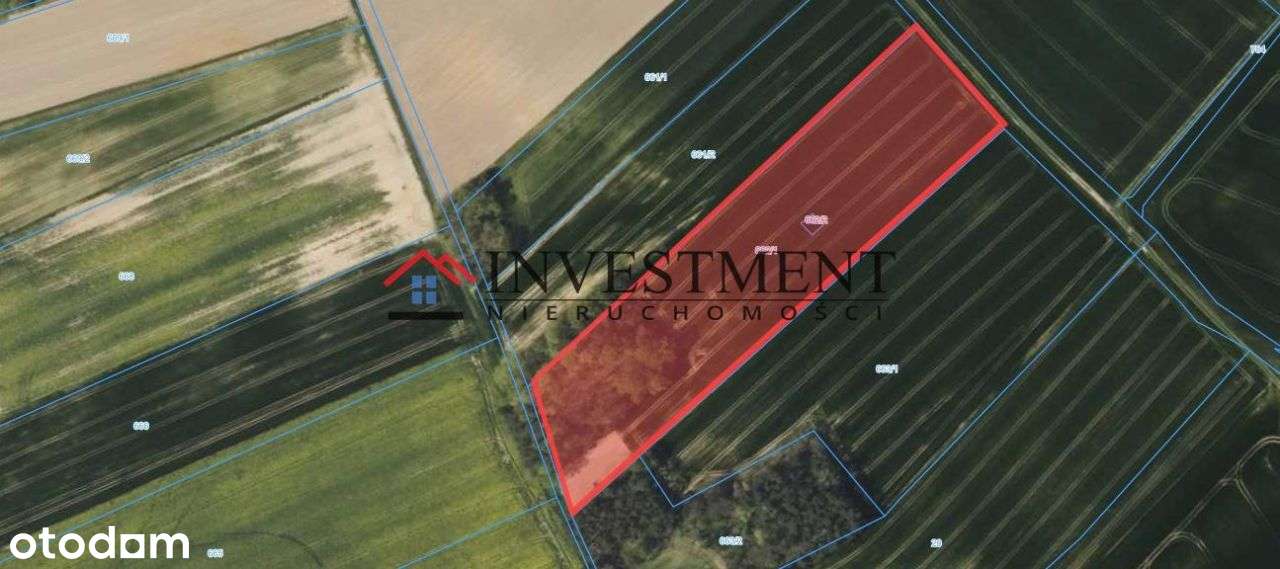 Działka, 26 200 m², Kazimierz - Pełny obrazek: 5/5