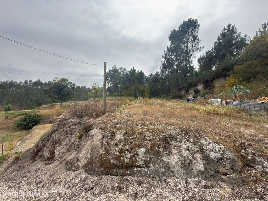 Moradia com Terreno para Restauro | 10 Hectares | Fafe-28