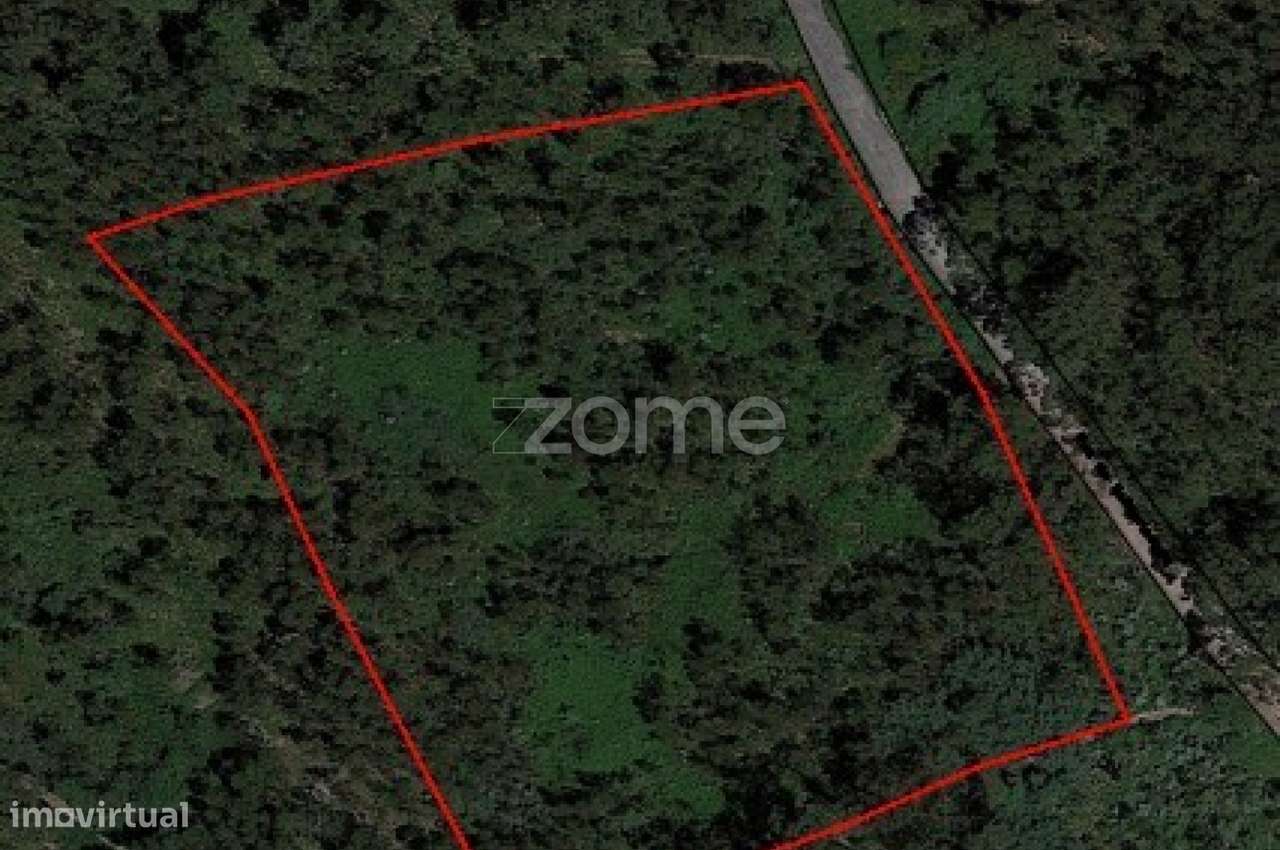 Terreno Rústico com 13.470 m2 em Monte Córdova - Santo Tirso - Grande imagem: 5/6